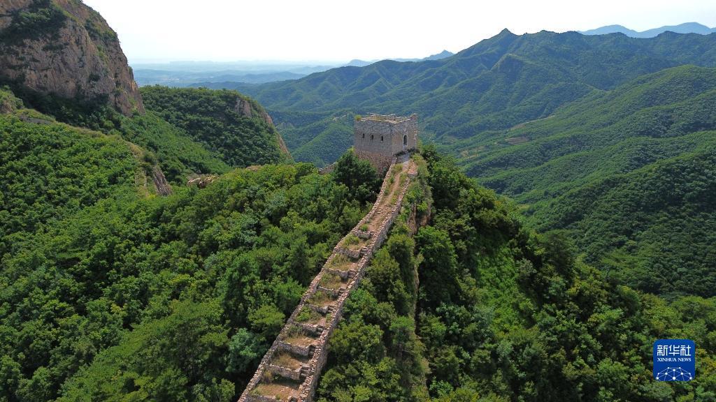 最新打鱼送分